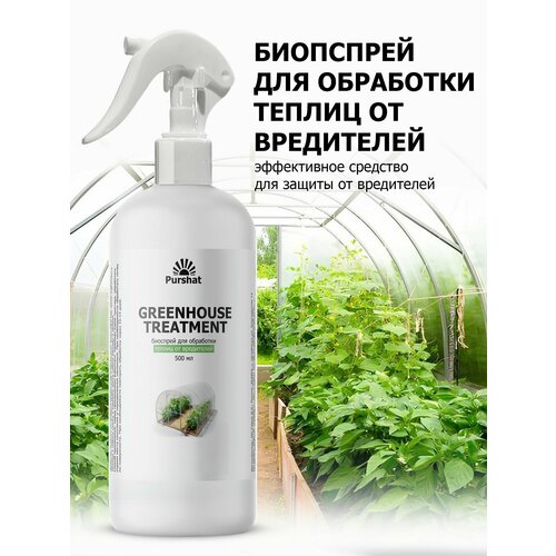 ���� �������� ��� ��������� ������ �� ���������� Purshat 500 ��, ������ �� 485 ���