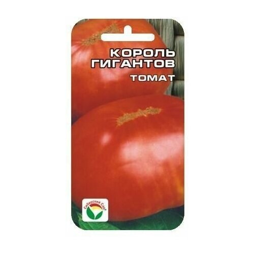 ���� ������ �������� 20�� ����� (��� ���), ������ �� 58 ���