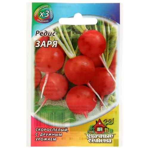 ���� ������ ����� 