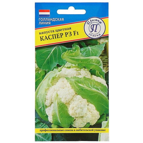 ���� ������ ������� ������� 