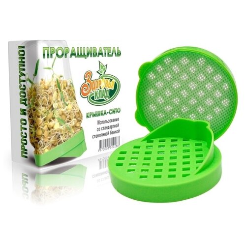 ���� ������������� ����� ������ - ���� - 6 ��, �������� ����, ������ �� 582 ���