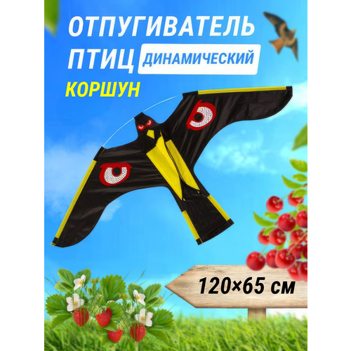 ���� ������������ ���� ����������/ ��������� ���� ������ ��� ���� ������� ������� ������� ������ �������� ������� �� ���������� ������ ������� ��������, ������ �� 1450 ���