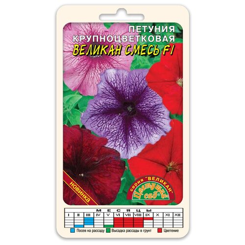 ���� ����� ������� ��������������� ������� ����� F1 (������ �������� ��� 10 ��. � ������), ������ �� 64 ���