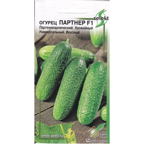 ���� ������ ������� F1, 10 �����, ������ �� 234 ���