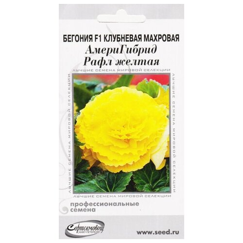 ���� ������� F1 ��������� �������� ����� ������ ����, ������, 5 �����, ������ �� 308 ���