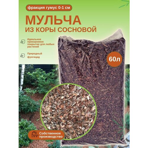 ���� ����� �����. ������ �� ���� �������� (0-1 ��) �������, 60 �. �������� 5��, ������ �� 1611 ���