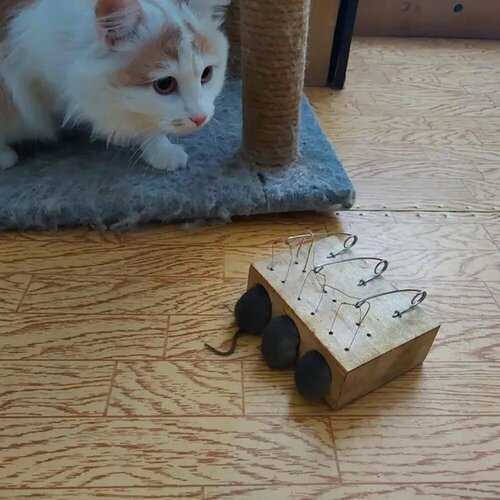 ���� ��������� ��������, ������� ��� �����, ��������, ��������, ������� �������, �����, 1 �����, ������ �� 965 ���