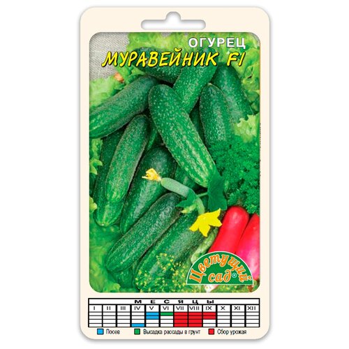 ���� ������ �������� ��� 