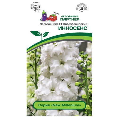 ���� ������� ���������� 