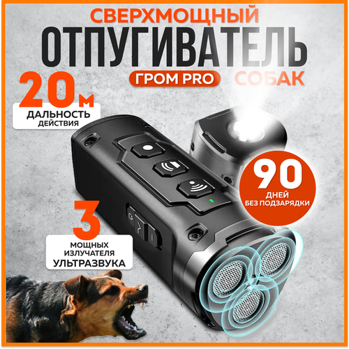 ���� �������������� ������������ ����� ���� pro, ������ �� 2950 ���