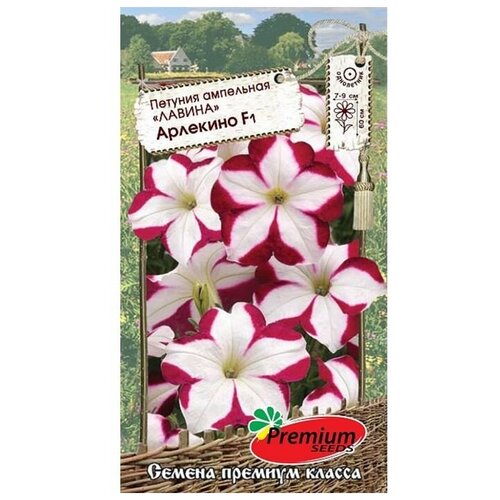 ���� ������ ������ ������� ��������� ������ �������� F1, �, 10��, 3 ��������, ������ �� 399 ���