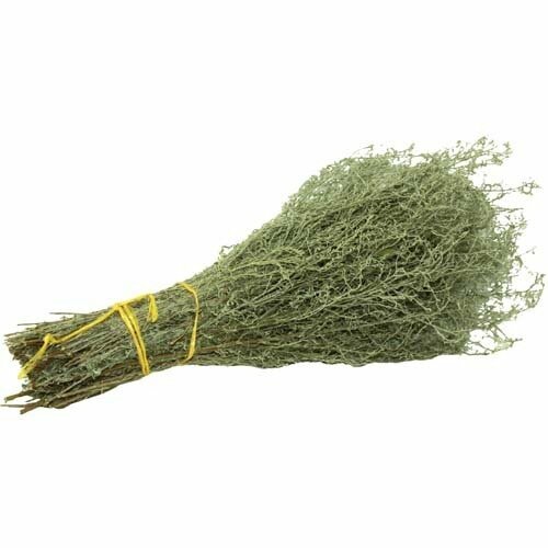 ���� ����� �������� �� ������ ������, ������ �� 425 ���