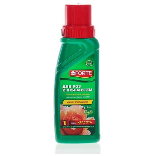         Bona Forte, , 285 ,   350 