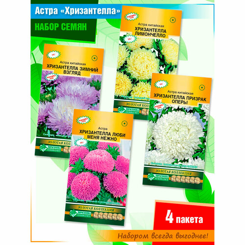 ���� ����� ����� ������� ������ 