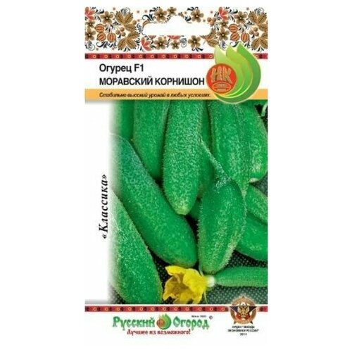 ���� ������ ������ �� ������� ������ 