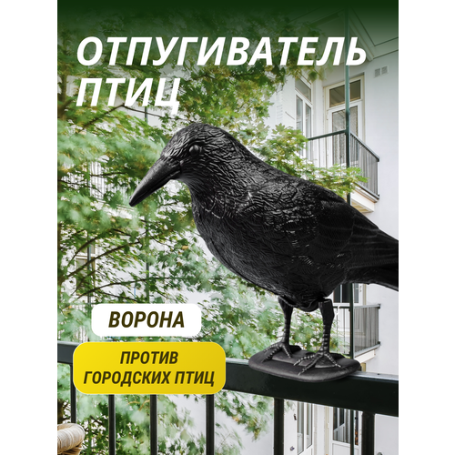 ���� ������������ ���� ������, ������ �� 1080 ���