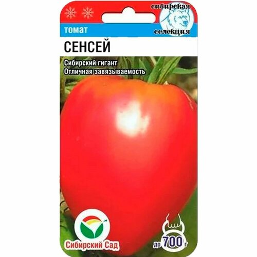 ���� ������ ����� ������ 20�� ��� (��������� ���), ������ �� 64 ���