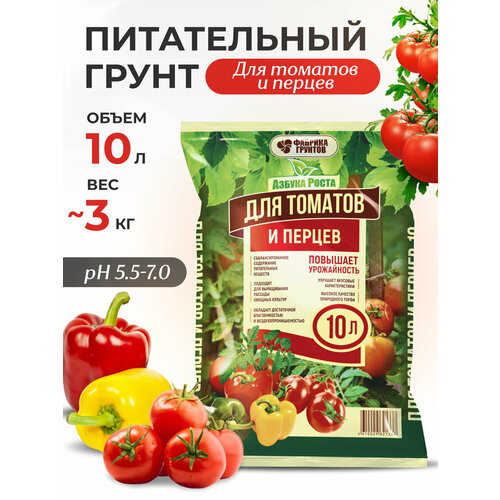 ���� ����� ������������ ��� ������� ������� � ������, 10 �, ����������, InHome Green, ������ �� 711 ���