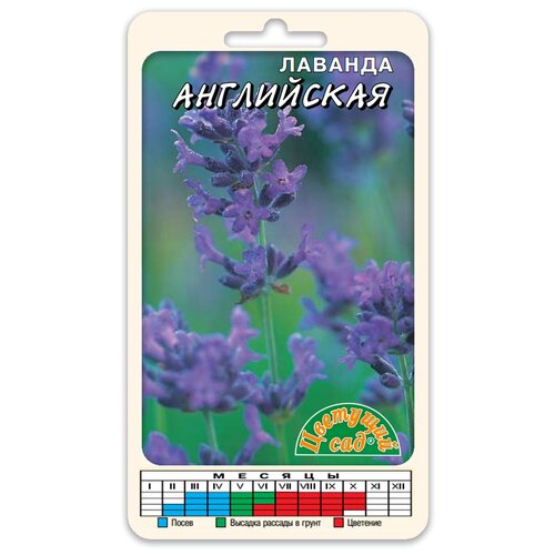 ���� ������ �������� ��� 