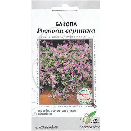 ���� ������ ������� �������, 3 �����, ������ �� 383 ���