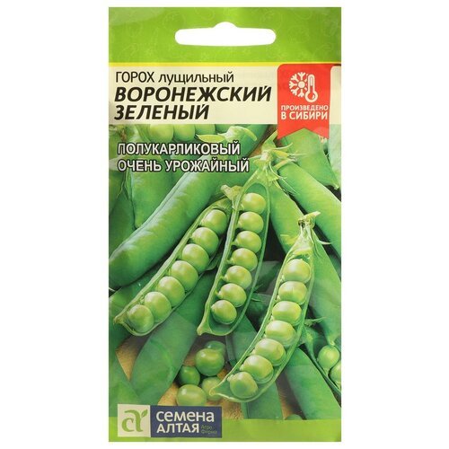 ���� ������ ����� 