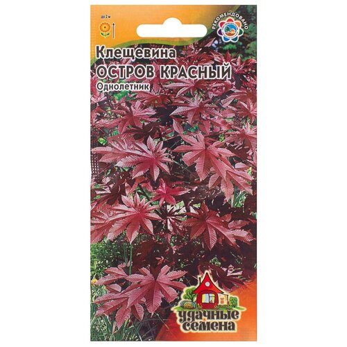 ���� ��������� ������� ������ 5 ��., ������ �� 43 ���