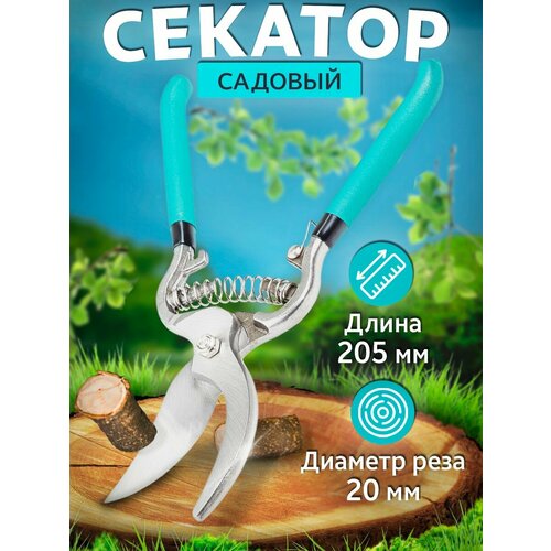 ���� �������� ��� �������, ������ �� 907 ���