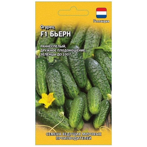 ���� ������. ������ 