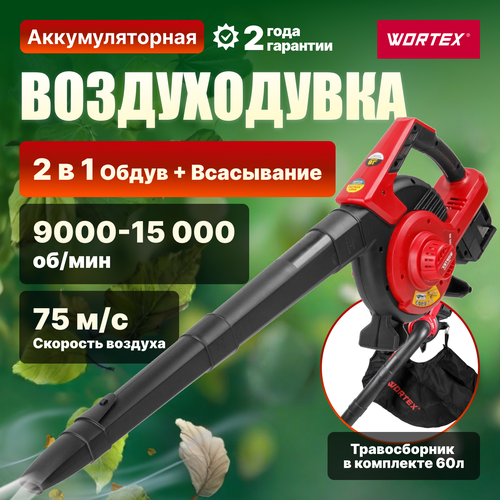    WORTEX BB 2536-1 D ALL1 SOLO (1333417)   -     , -, 