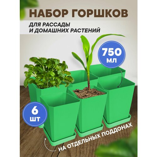 ���� ����� ������� ��� ������� ������� 6 ��, 750 �� �������, ������ �� 732 ���