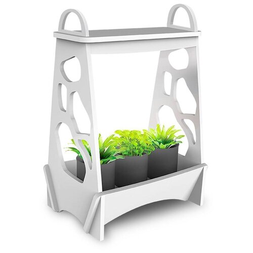  Jazzway -   PMG 001 LED, 1 ., ,   5389 