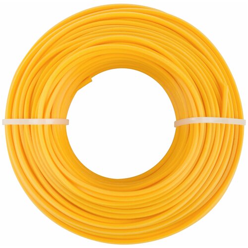 ���� ����� ��� ������� ��������� 