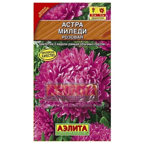 ���� ������� ����� 