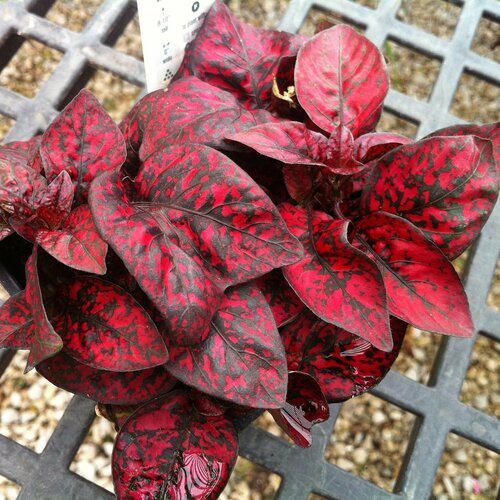     ,              , 10  ,   291 