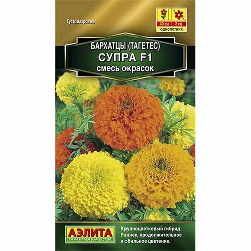 ���� ������ �������� �����, ����� F1, ��. (����������) (������) 10��, ������ �� 73 ���