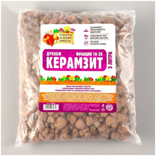 ���� ������ �������� 