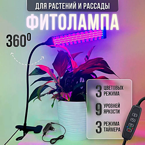 ���� ��������� ������������� ��� �������� � �������, ���������������� ����� �� �������� ��� �������� ����, ����, 1 �����, ������ �� 1890 ���