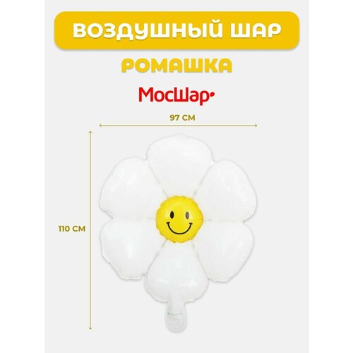 ���� ��������� ��� ������ ������� �������, ���� �� ���� ��������, ��������� ������, ������ �� 252 ���