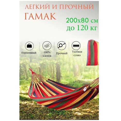 ���� ����� ��������, 200�80��, ������ �� 649 ���