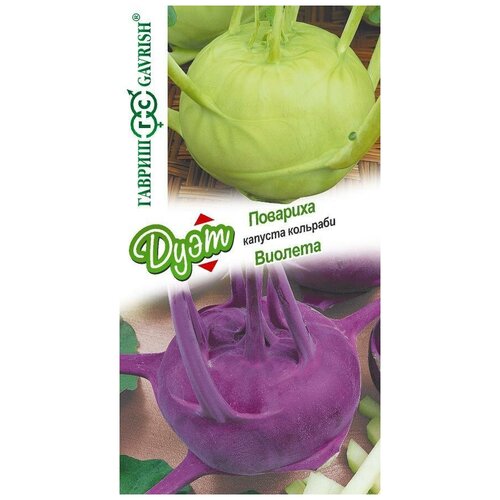 ���� ������. ������� �������� 