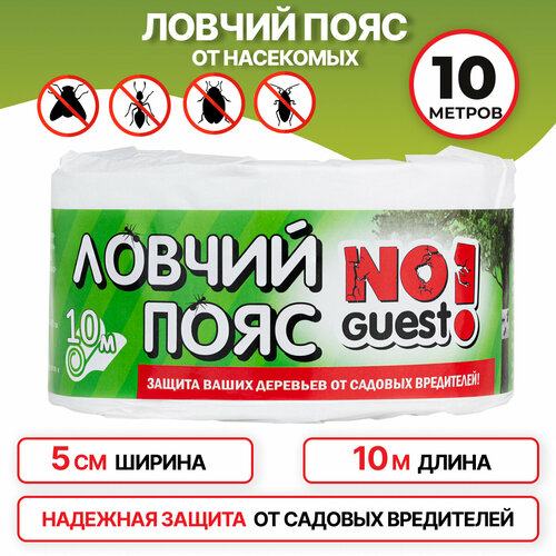       NoGuest,  , 10    -     , -, 