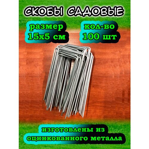 ���� ����� ������� �������, ������ �� 631 ���