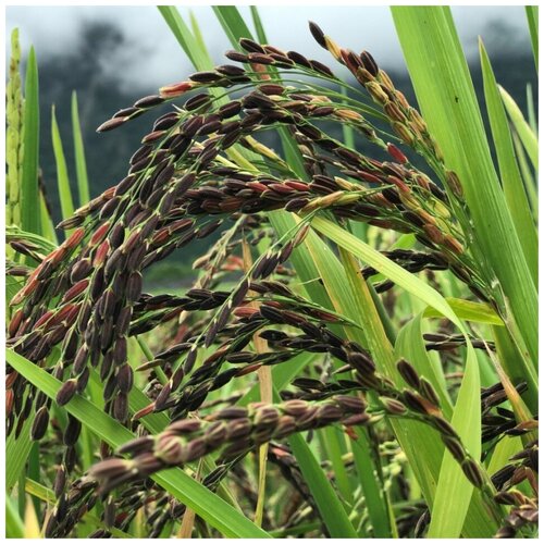 ���� ������ ������ ��� ����� ������ 200 ��., ������ �� 315 ���