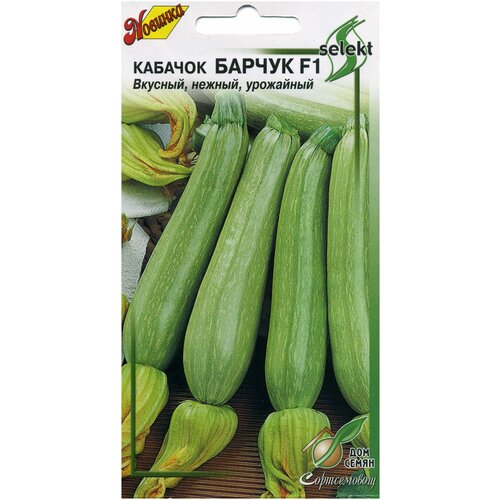 ���� ������� ������ F1, 12 �����, ������ �� 240 ���