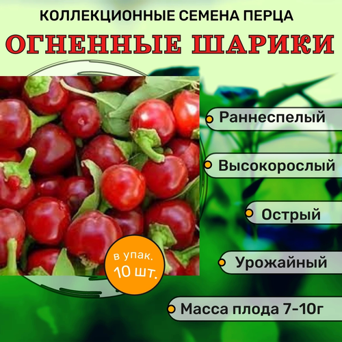 ���� ������������� ������ ����� ������� �������� ������, ������ �� 122 ���