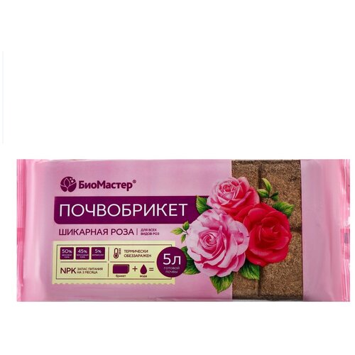 ���� ����������� ��������� 