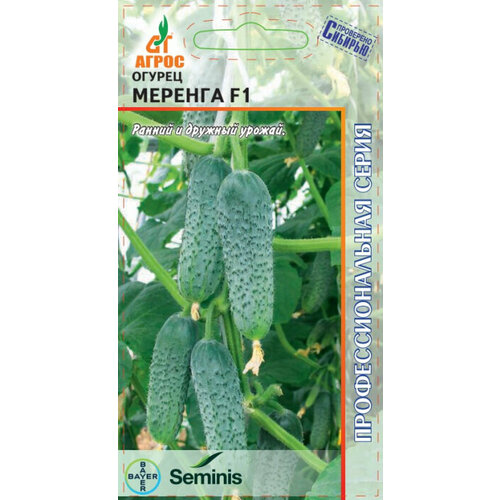 ���� ������ ������ ������� F1 �������� 8�� ������������������ ������ (�����), ������ �� 124 ���