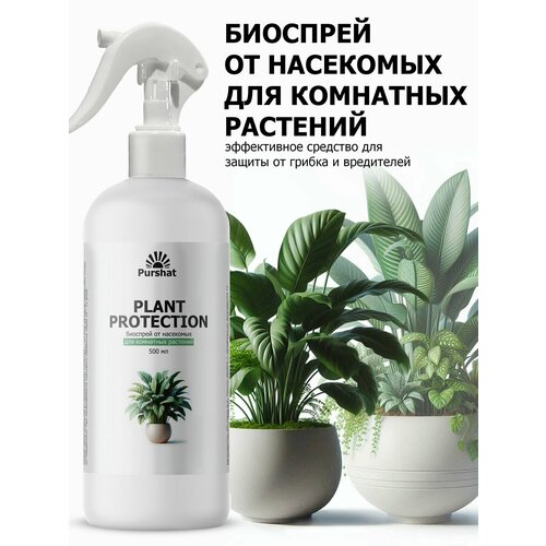 ���� �������� �� ��������� ��� �������� Purshat 500 ��, ������ �� 537 ���