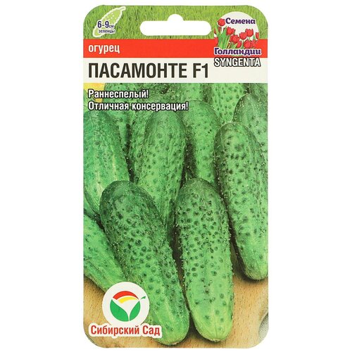 ���� ������ ������ ��������� F1, �������������, 5��, ������ �� 240 ���