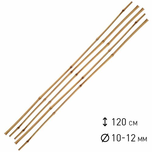    d10-12  h120  5 ,   736 